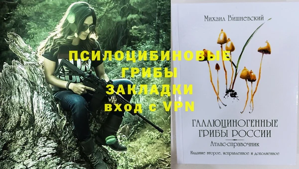 прущая мука Магас